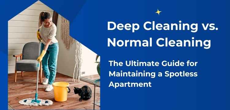 Deep Cleaning VS Normal Cleaning