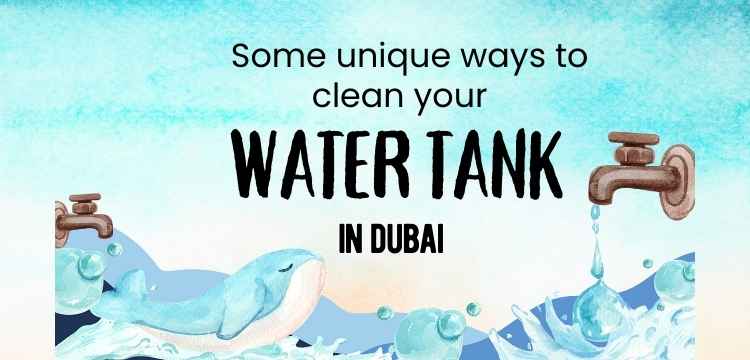 Some Unique Ways To Clean Your Water Tank In Dubai