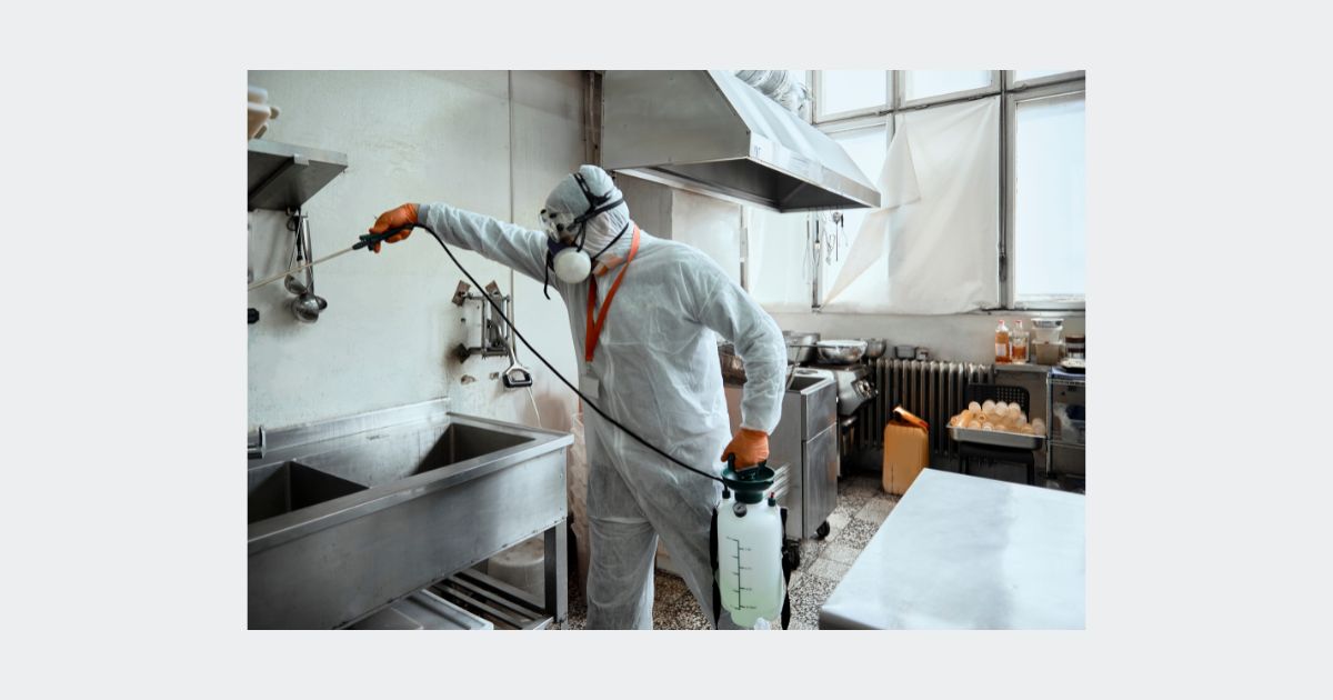 disinfection kitchen services