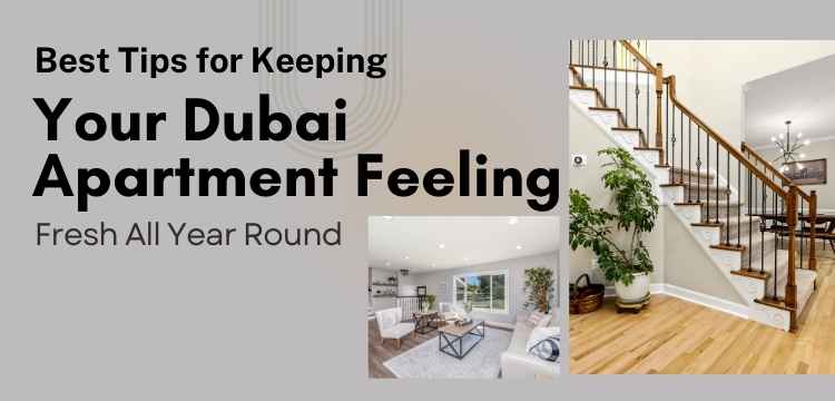 Best Tips for Keeping Your Dubai Apartment Feeling Fresh All Year Round